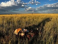 Antelope5.jpg