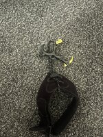 IMG_4421.jpeg