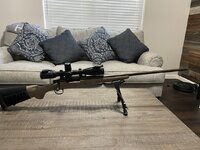 IMG_7611.jpeg
