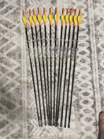 IMG_3520.jpeg