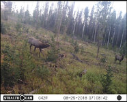 IMG_1409.jpeg
