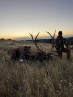 IMG_0551.JPG