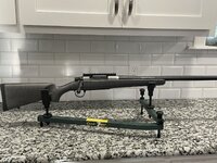IMG_3728.jpeg