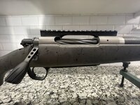 IMG_3731.jpeg