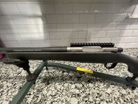 IMG_3730.jpeg