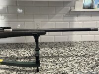 IMG_3729.jpeg