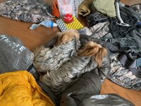 IMG_1862.jpg