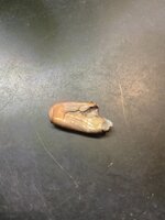 IMG_1608.jpeg IMG_1608.jpeg