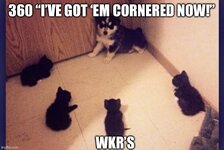 IMG_1544.jpeg
