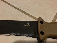 IMG_0454.jpeg
