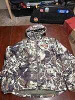 IMG_2313.jpeg