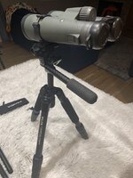 IMG_2691.jpeg