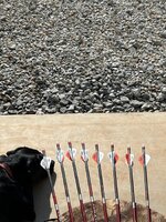 IMG_8274.jpeg