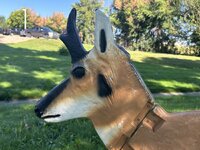IMG_2359.jpeg