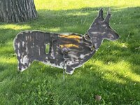 IMG_2357.jpeg