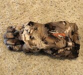 IMG_5525.jpeg