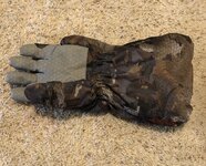 IMG_5524.jpeg