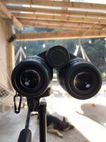 IMG_2888.jpeg