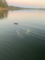 IMG_7344.jpeg