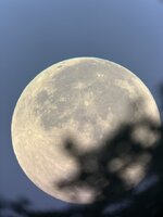 IMG_8640.jpeg