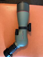 IMG_8355.jpg