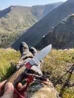 IMG_0568.jpeg