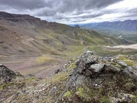 IMG_1373.jpeg