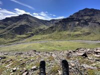 IMG_1335.jpeg