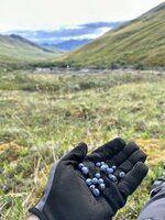 IMG_1329.jpeg