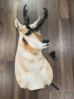 IMG_0571.jpeg