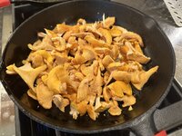 IMG_1733.jpeg