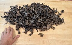 IMG_1626.jpeg