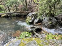 548BA30D-06E9-4722-AC34-5783B55A4A8A.jpeg