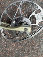 IMG_5221.jpeg