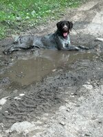 IMG_4997.jpeg
