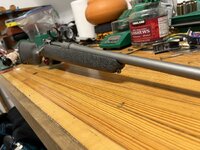 IMG_2410.jpeg