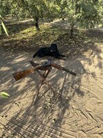 IMG_4016.jpeg