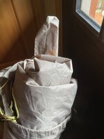 IMG_2391.jpeg
