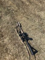 IMG_6829.jpeg