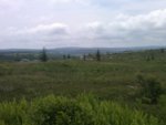 IMG00120-20110618-1151.jpg