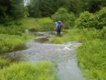 IMG00143-20110619-1523.jpg