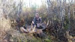 MASTADON MOOSE.jpg