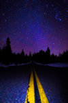 shaver stars2.jpg