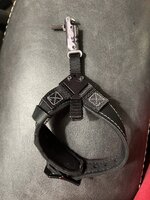 IMG_3630.jpeg
