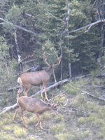 IMG_8492.jpeg