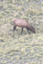 IMG_8533.jpeg