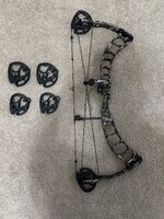 IMG_4877.jpeg