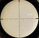 IMG_2450.jpeg