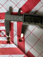 IMG_4317.jpeg