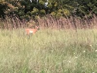 IMG_1862.jpeg